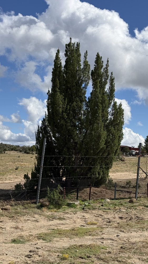 Otra vista de referencia de Sierra Blanca